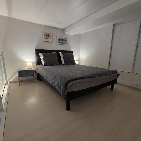 דירה Carre D'or Star Loft ניס