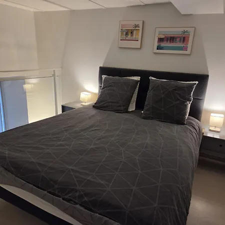 Carre D'or Star Loft 公寓 尼斯